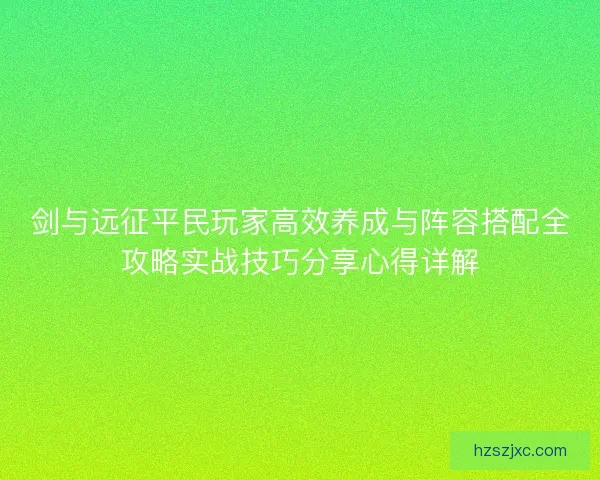 剑与远征平民玩家高效养成与阵容搭配全攻略实战技巧分享心得详解