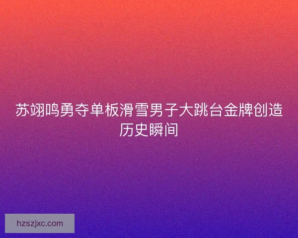 苏翊鸣勇夺单板滑雪男子大跳台金牌创造历史瞬间 苏翊鸣勇夺单板滑雪男子大跳台金牌创造历史瞬间