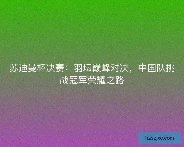 苏迪曼杯决赛：羽坛巅峰对决，中国队挑战冠军荣耀之路